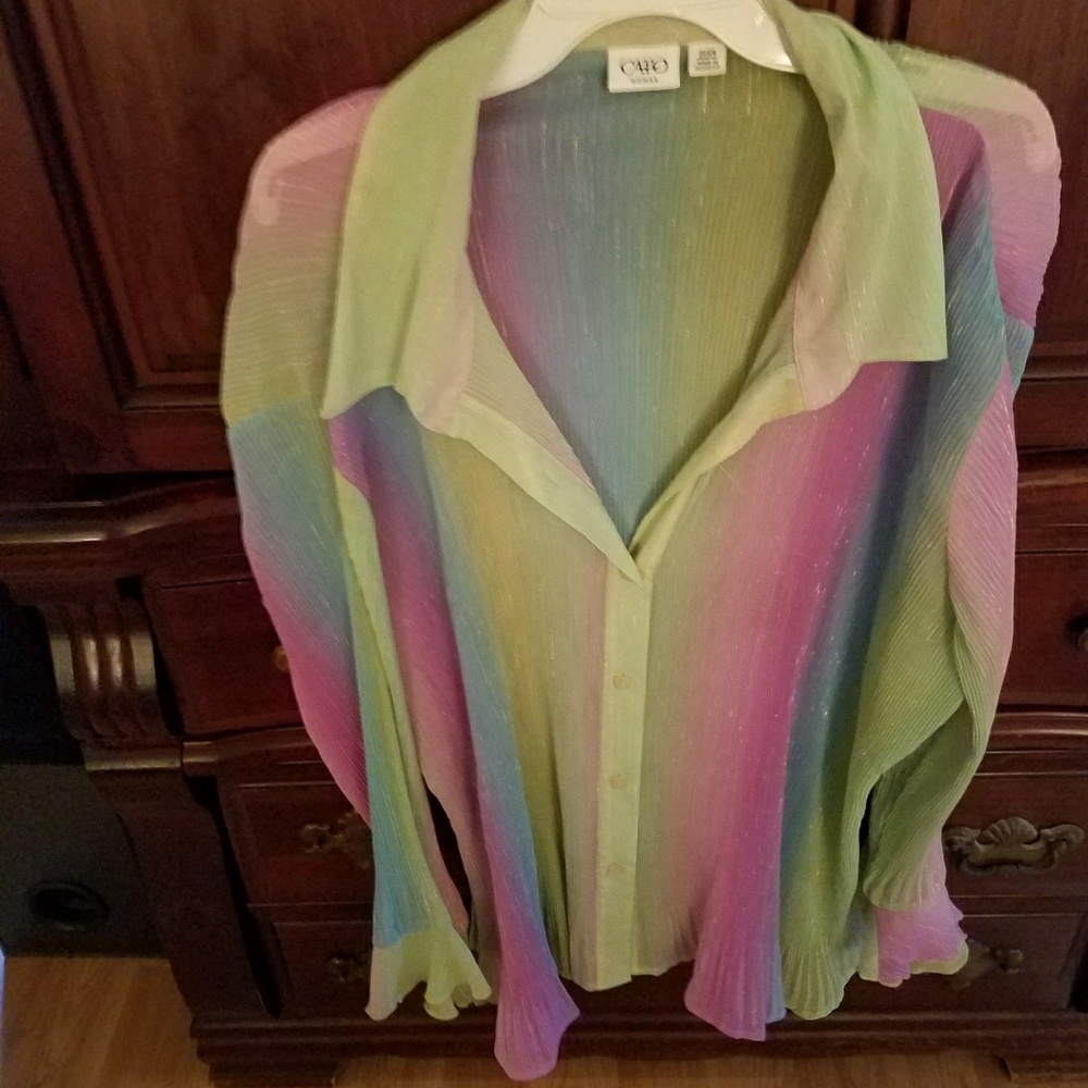Sheer multi colored long sleeve blouse