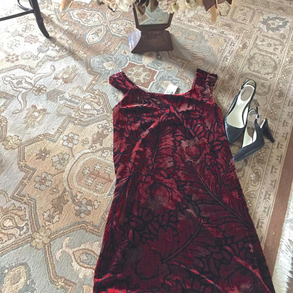 Diane Von Furstenberg Isabel's Shawl Velvet Dress