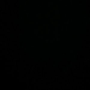 Meet your Posher, Rodney