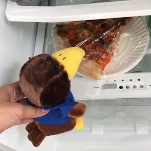 Meet your Posher, Tracy