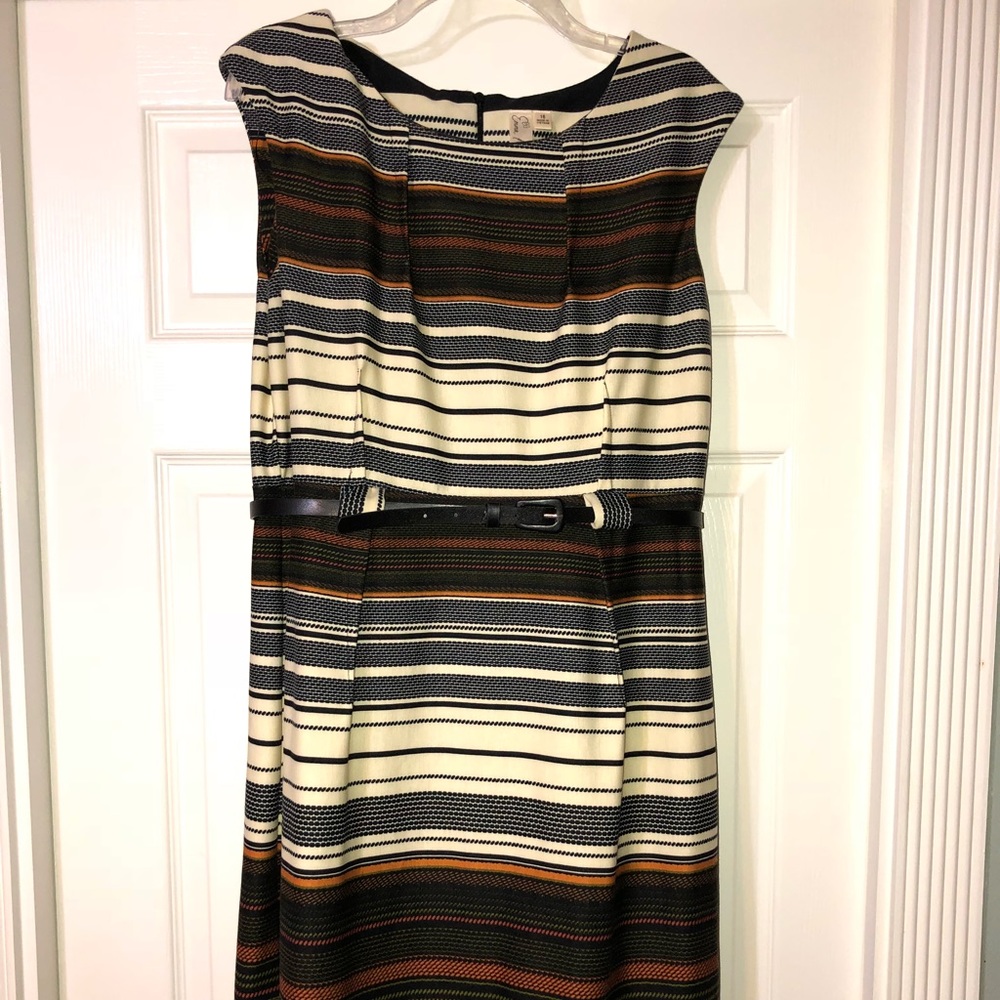 Fall Striped Dress, Fitted with Belt
