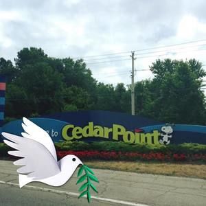 Meet your Posher, Jeff