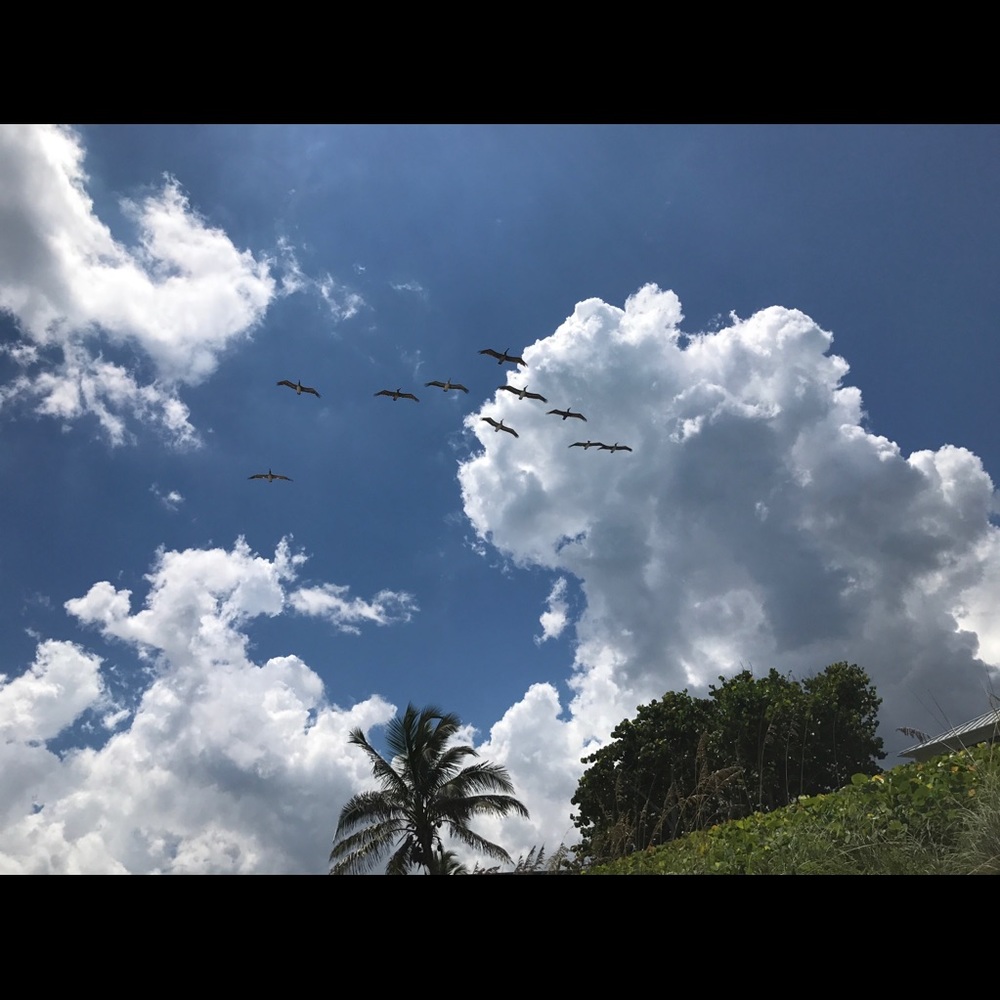 Meet your Posher, Annie