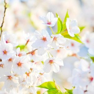 Meet your Posher, Liz