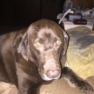 Meet your Posher, Jennifer