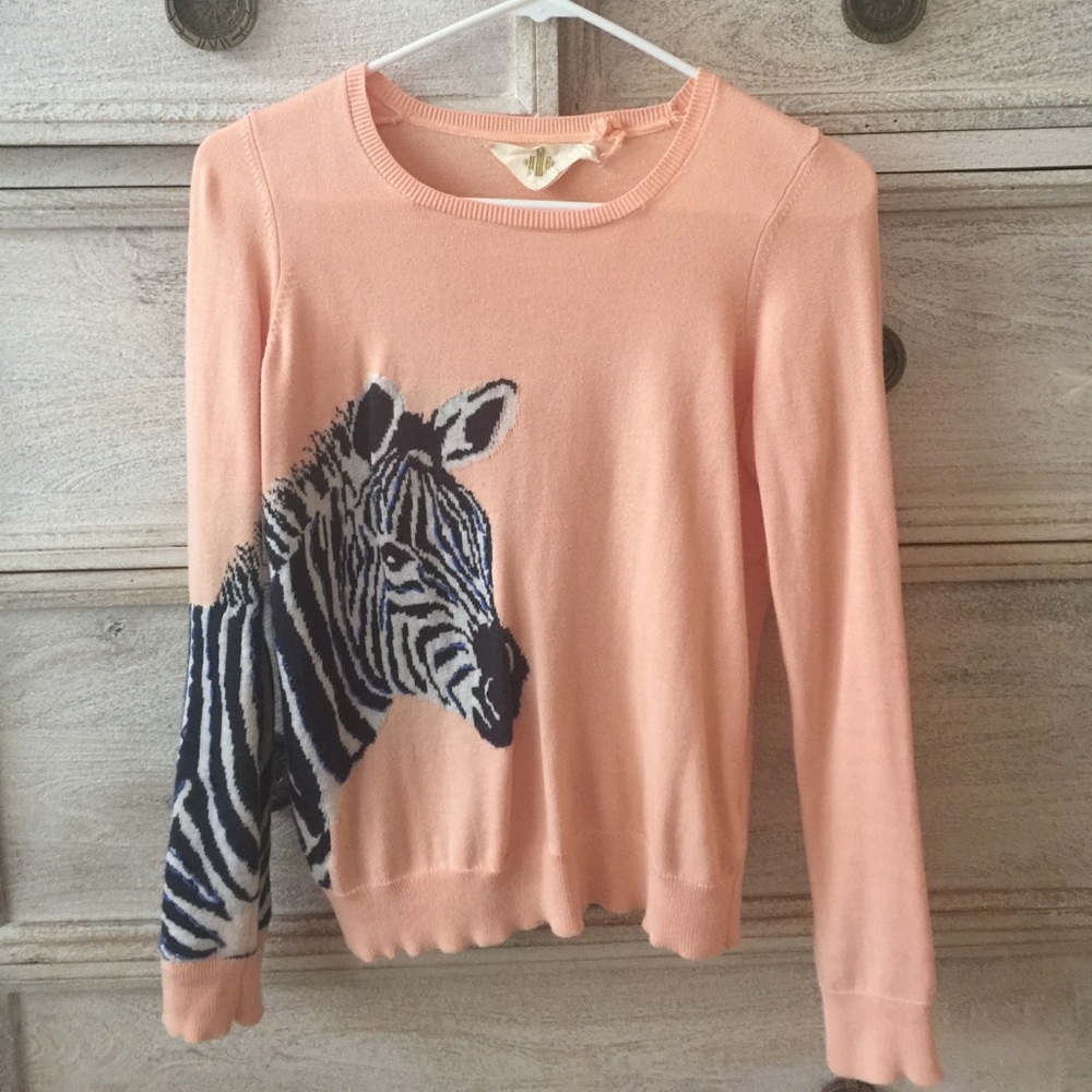 Anthropologie sweater