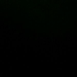 Meet your Posher, Hector