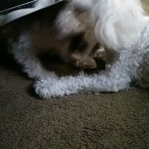 Meet your Posher, Luis