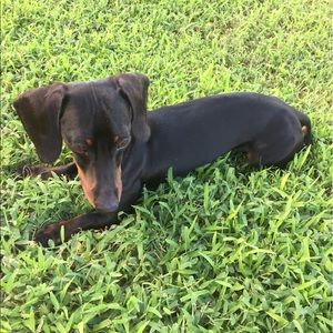 Meet your Posher, Gina