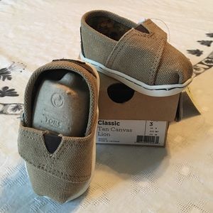 Tiny TOMS Classic Tan Lion
