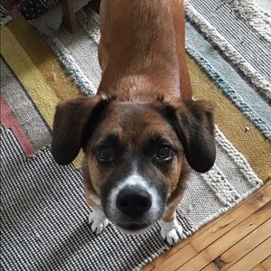 Meet your Posher, Aileen