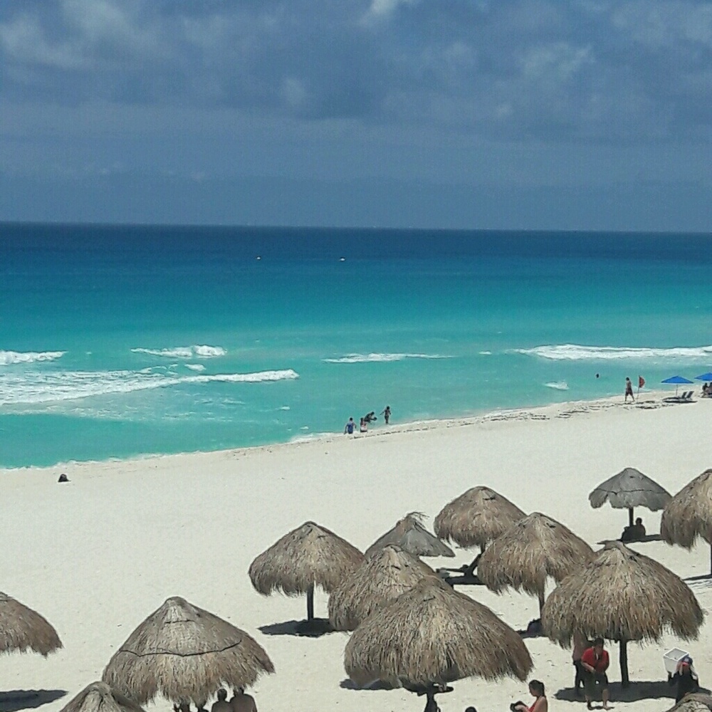 Meet your Posher, Alma