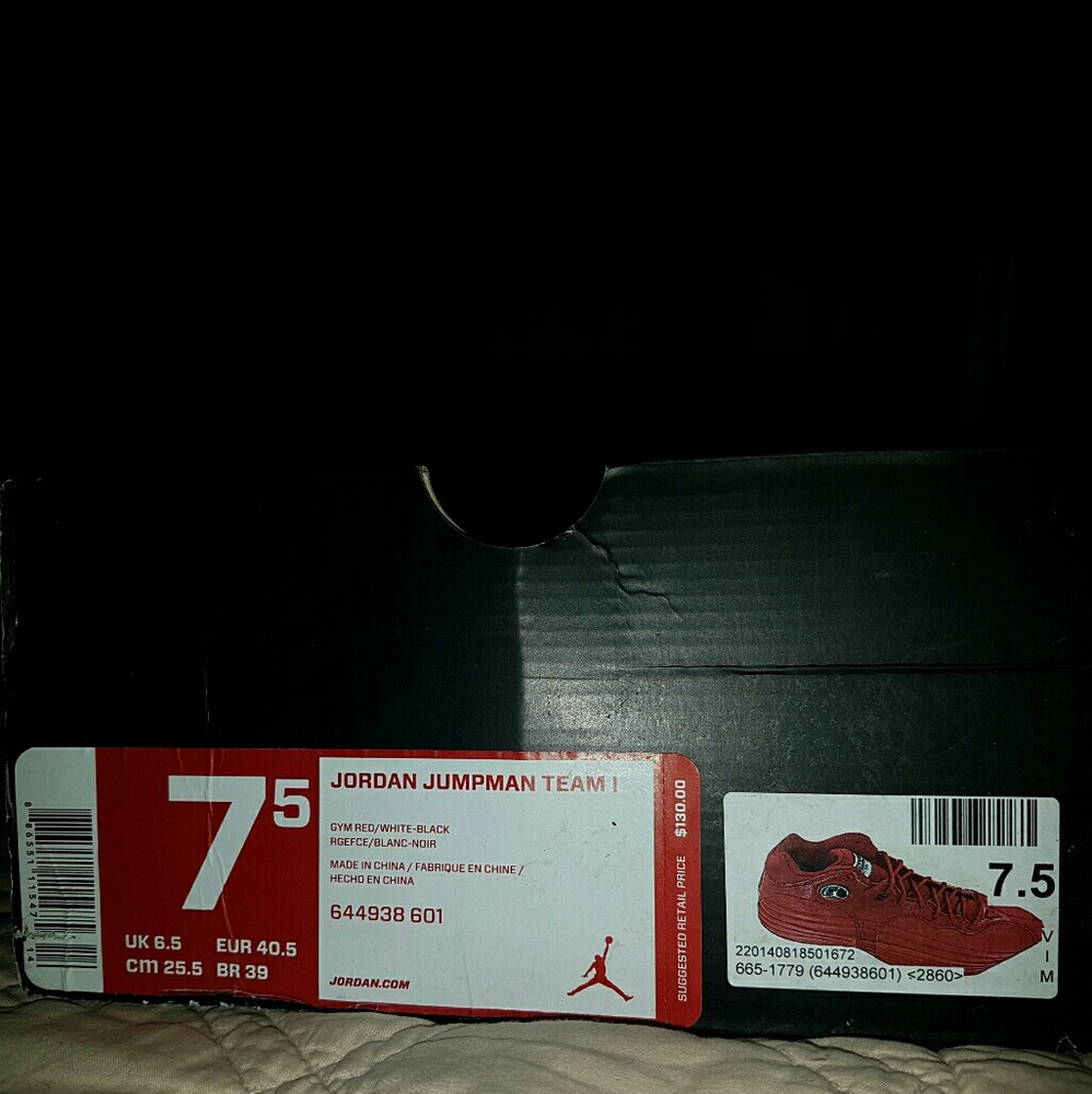 Jordans jump man team1