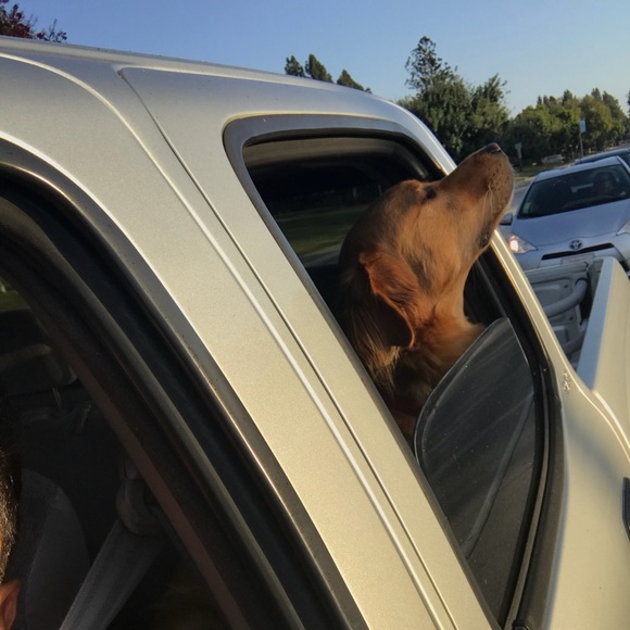 Meet your Posher, Rob - Picture 1 of 1