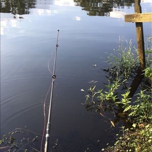 Meet your Posher, Brad