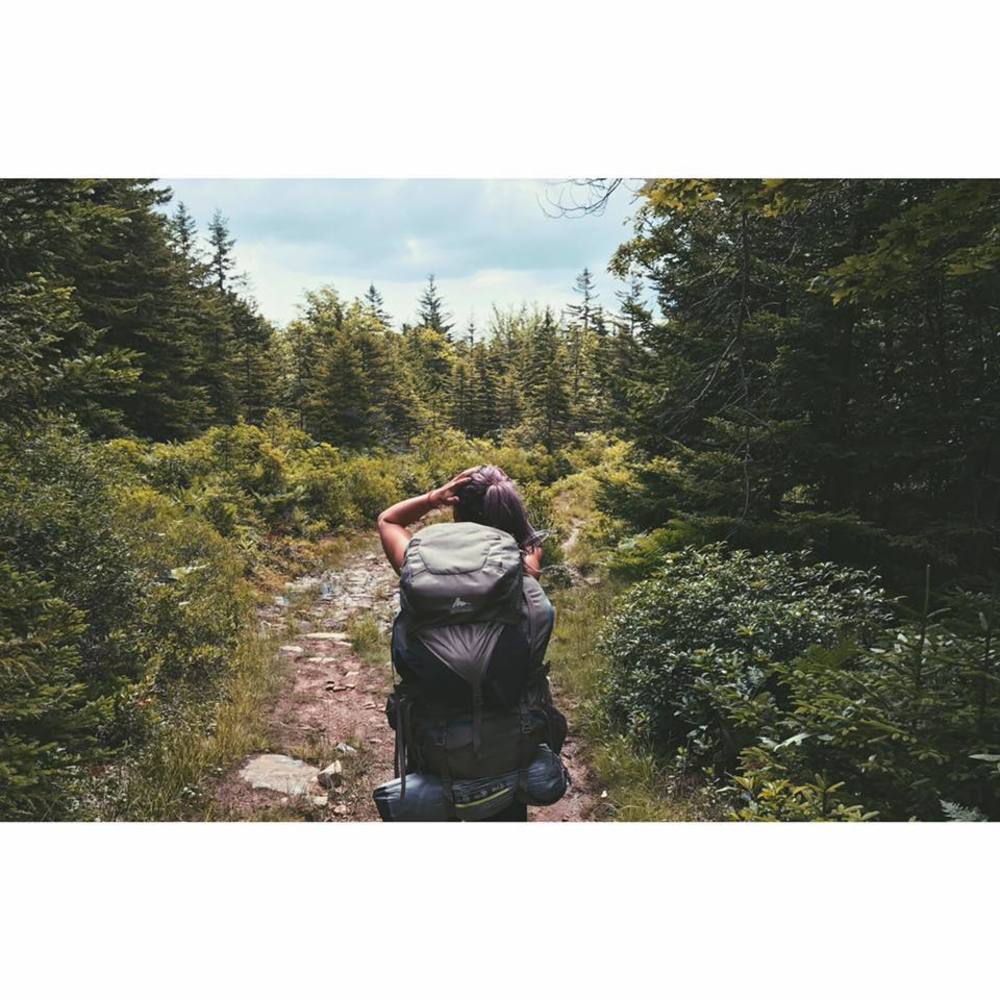 Meet your Posher, Brooke