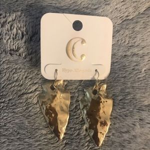 Charming Charlie earrings (2)