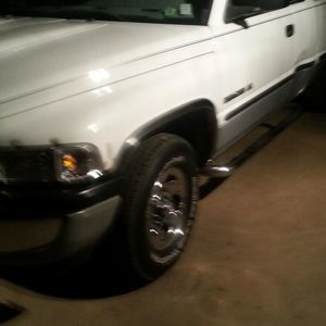 Meet your Posher, Ronnie