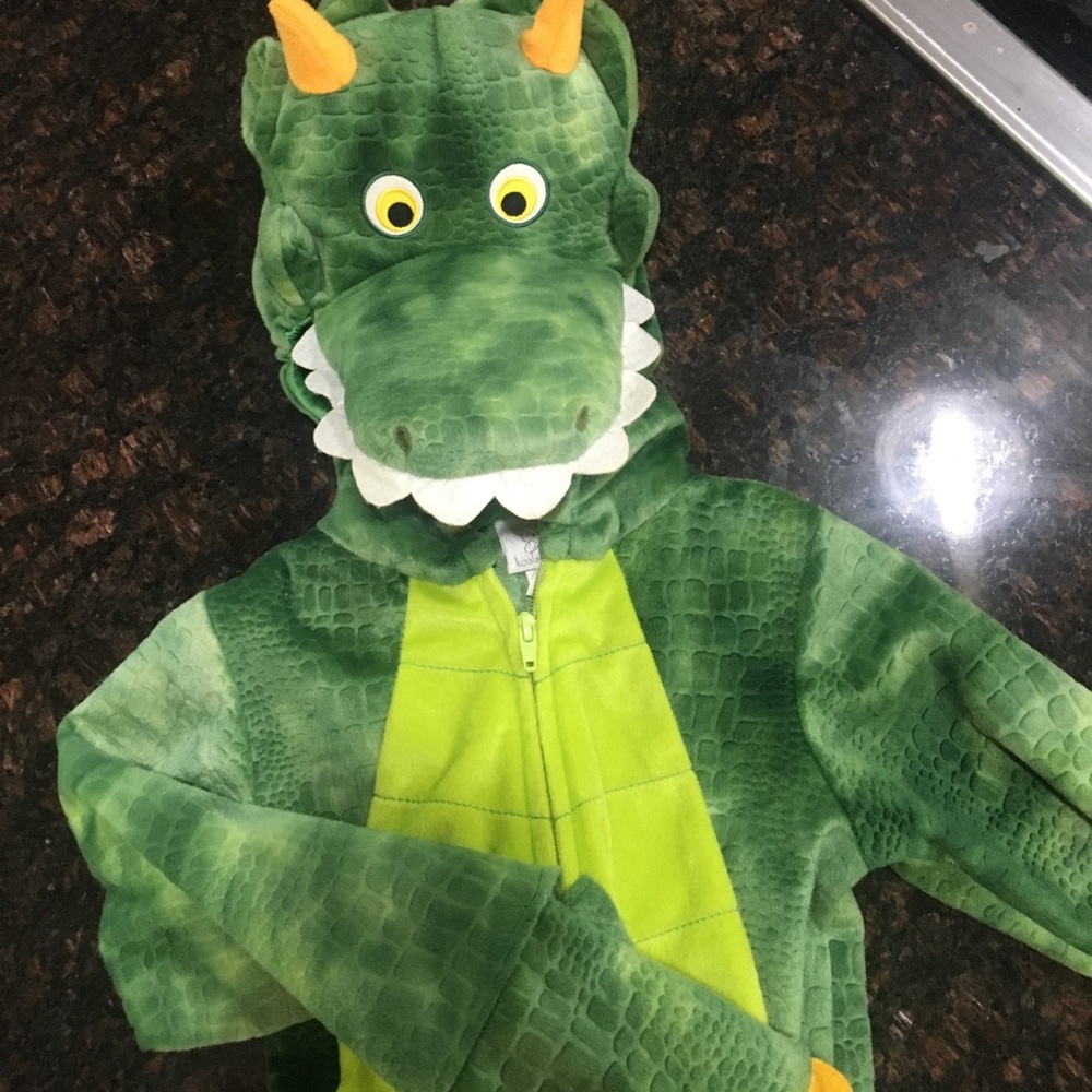 Full body Dragon costume 2t