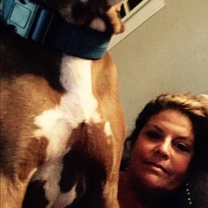 Meet your Posher, Dawn