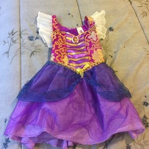 Pirate fairy Zarina costume