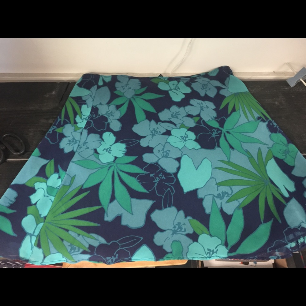 Express skirt