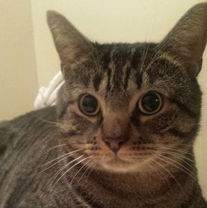 Meet your Posher, Kristen