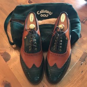 Brand New never worn FJ golf shoes!