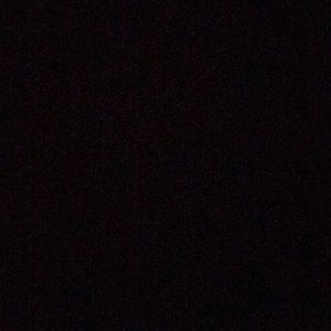 Meet your Posher, Evelyn