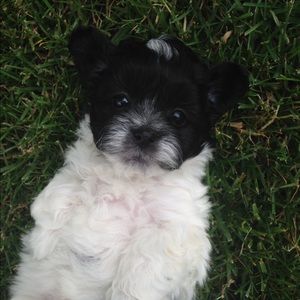 Meet your Posher, Kelly