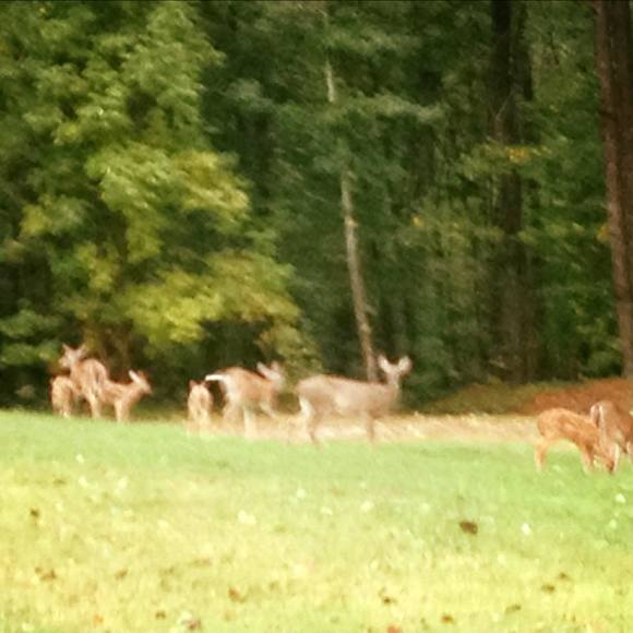 Meet your Posher, J scott - Picture 1 of 1