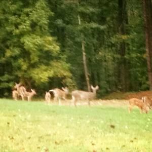 Meet your Posher, J scott