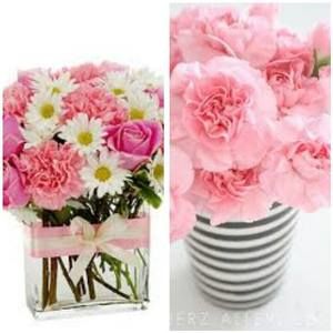 Meet your Posher, Pierre