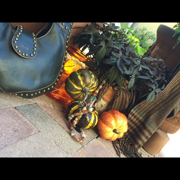 Meet your Posher, Paula - Picture 2 of 4