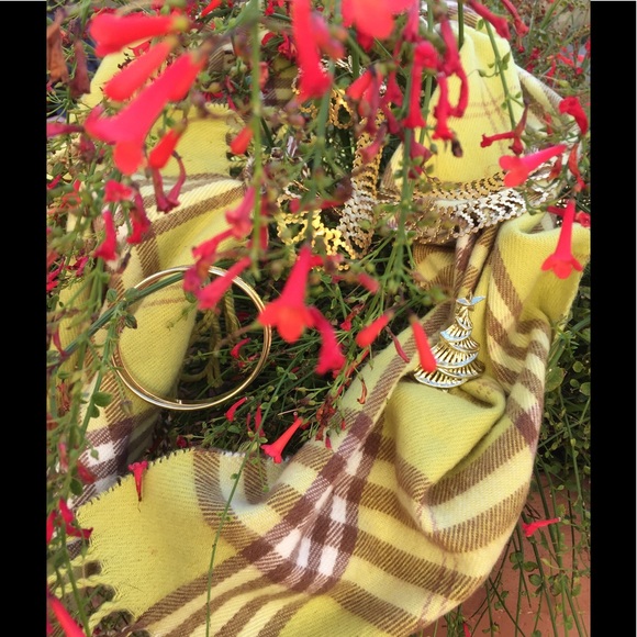 Meet your Posher, Paula - Picture 4 of 4