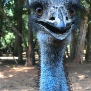 Meet your Posher, Deborah