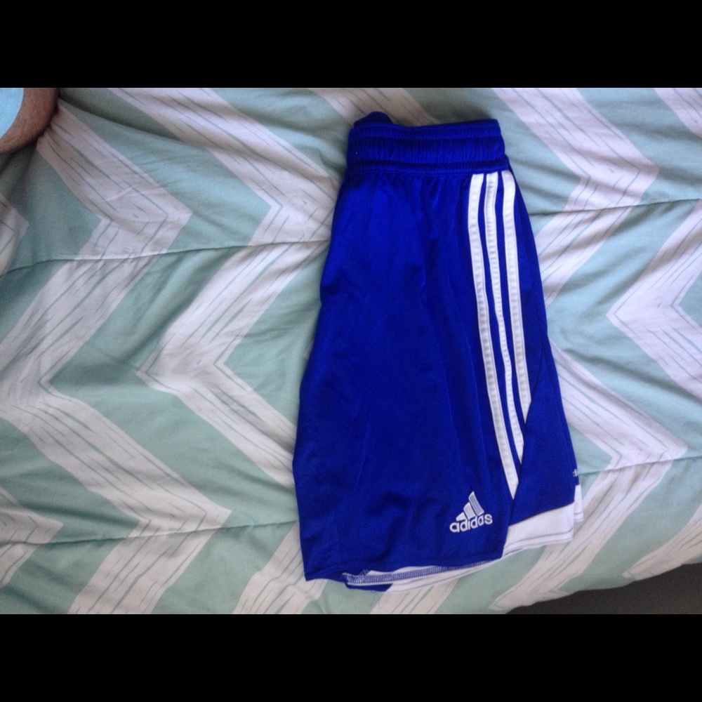 Shorts - Picture 2 of 4