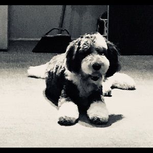 Meet your Posher, Ricarda