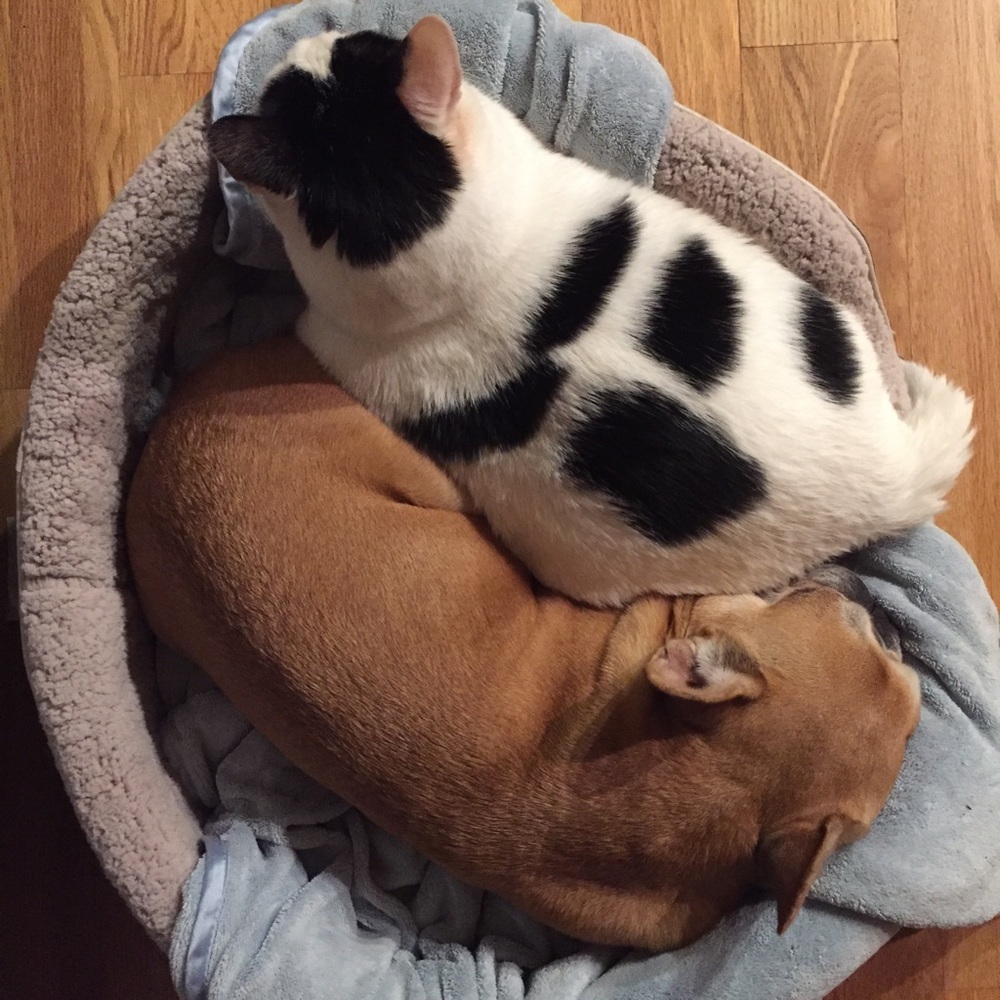 Meet your Posher, Victoria