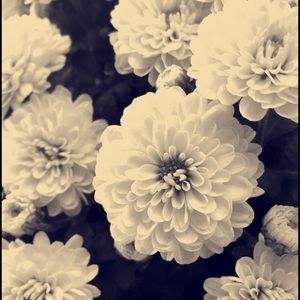 Meet your Posher, Kaitlynn