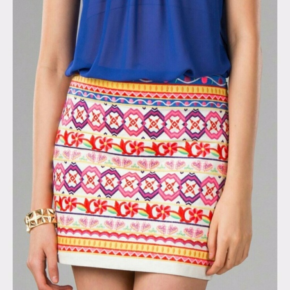 Francesca's Collections Dresses & Skirts - Francesca's Embroidered Mini Skirt Size Small