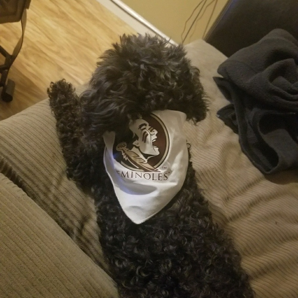 Meet your Posher, Tia