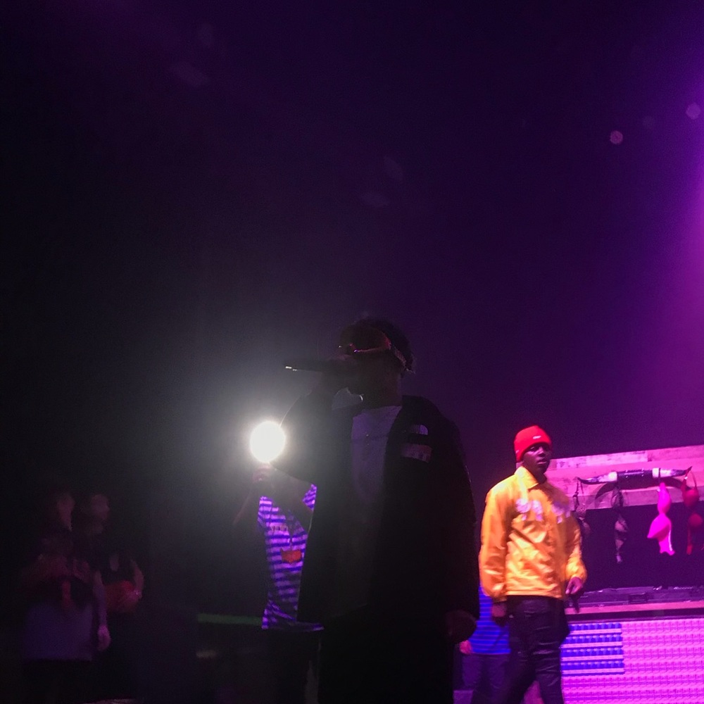 Meet your Posher, Grace