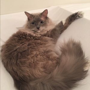 Meet your Posher, Jen