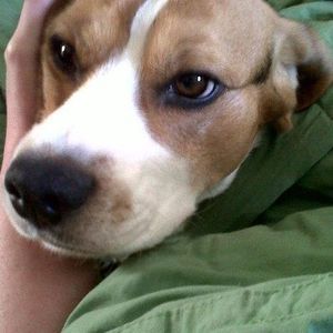 Meet your Posher, Luke