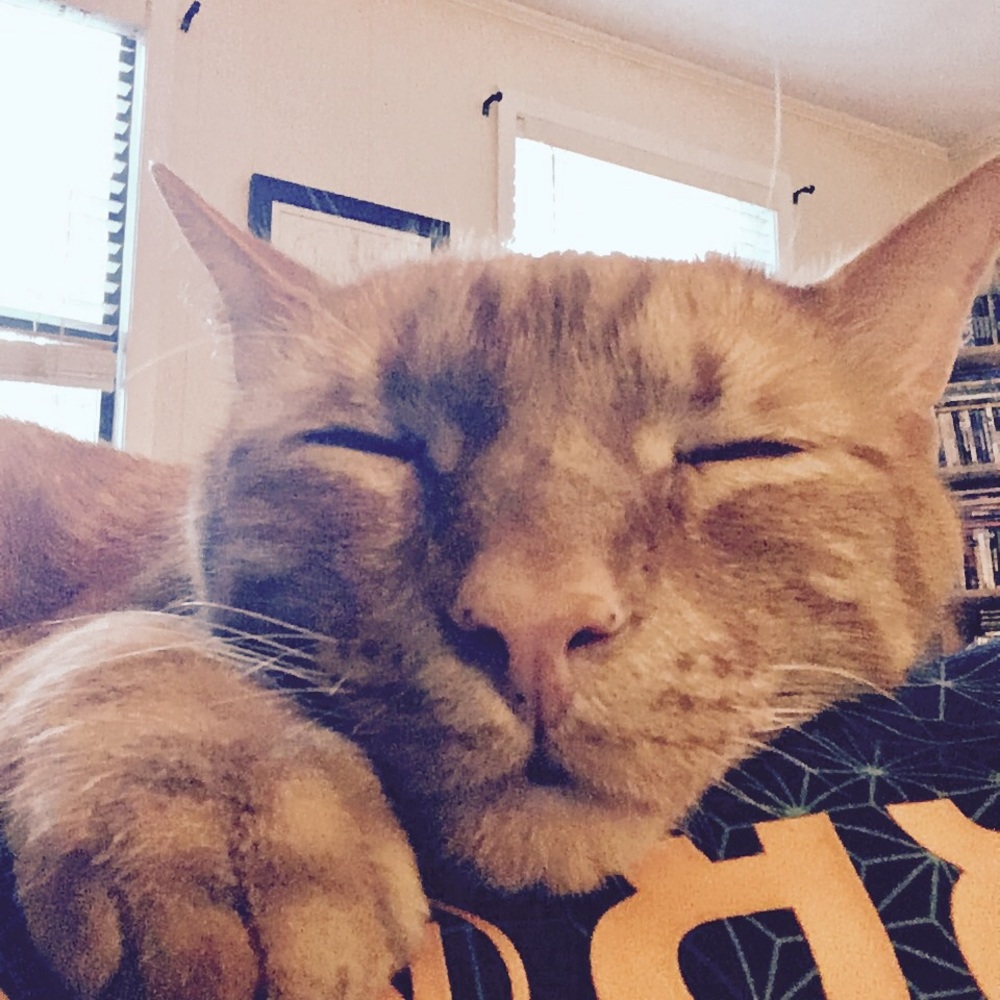 Meet your Posher, Drew