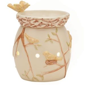 Scentsy wax warmer