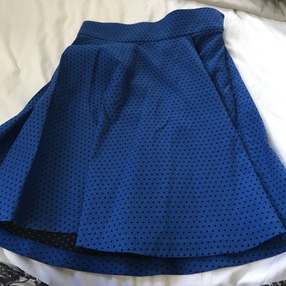 Silvia Tcherassi original skirt,never worn. No tag