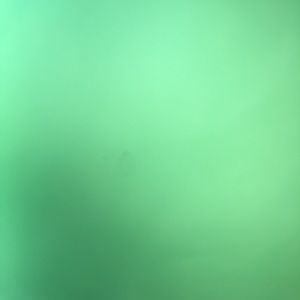 Meet your Posher, Marlene