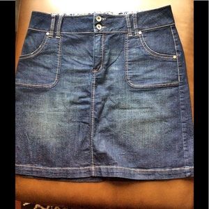 Vintage Jean Skirt